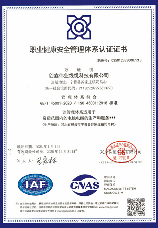 Occupational Health and Safety Management System Certification