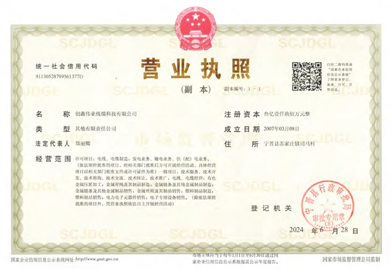 Business License